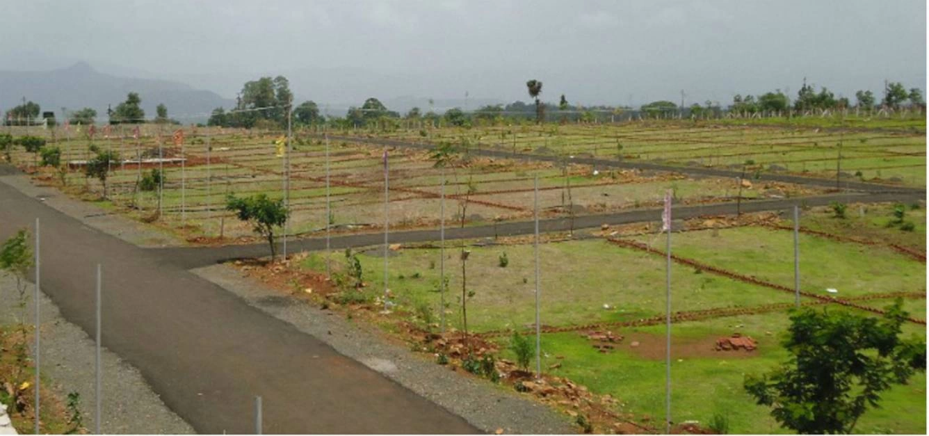Image of GLR Kakateeya Pride